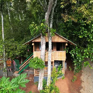  Maison d'hôtes Fab - Bamboo Hut With Open Shower Inde
