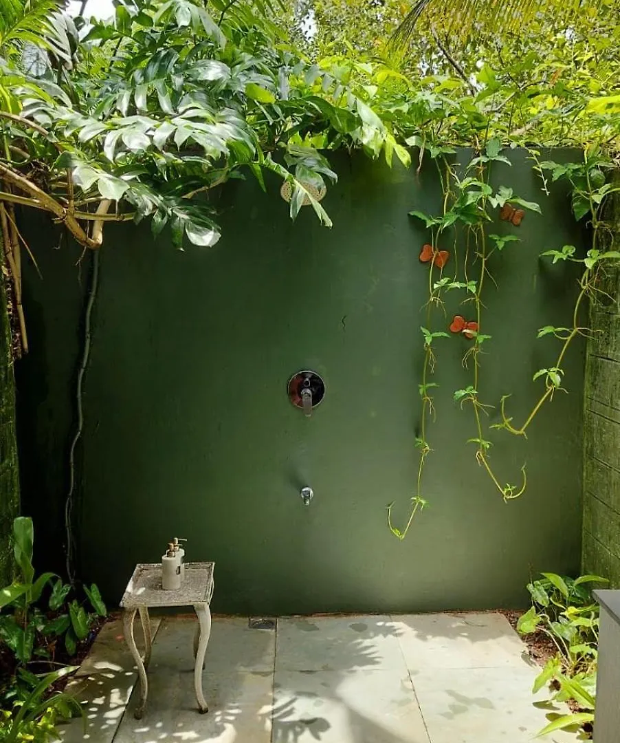 Sunsets And Palm Trees Bed & Breakfast Alappuzha