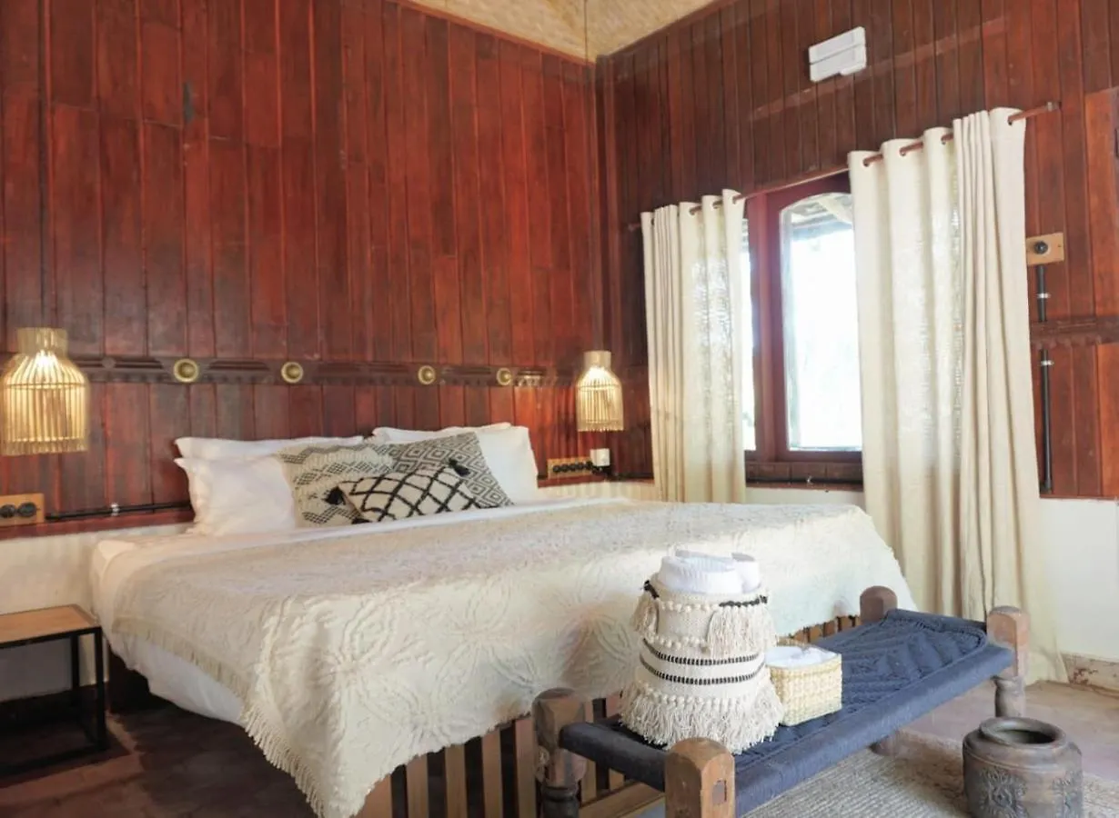 Sunsets And Palm Trees Bed & Breakfast Alappuzha India