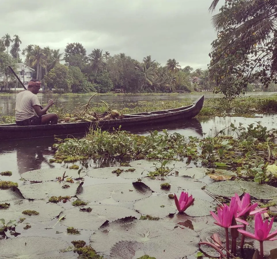 Sunsets And Palm Trees Bed & Breakfast Alappuzha