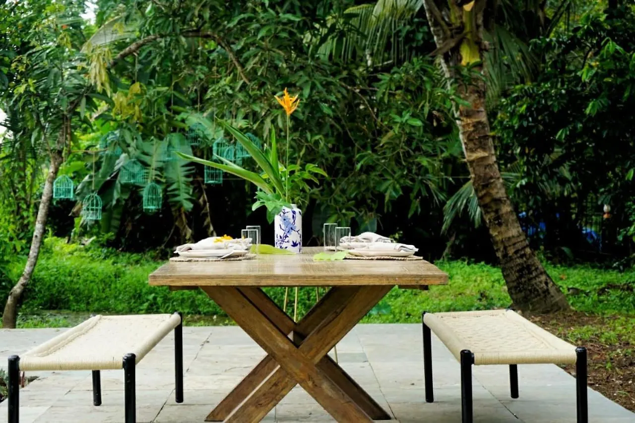 Sunsets And Palm Trees Bed & Breakfast Alappuzha