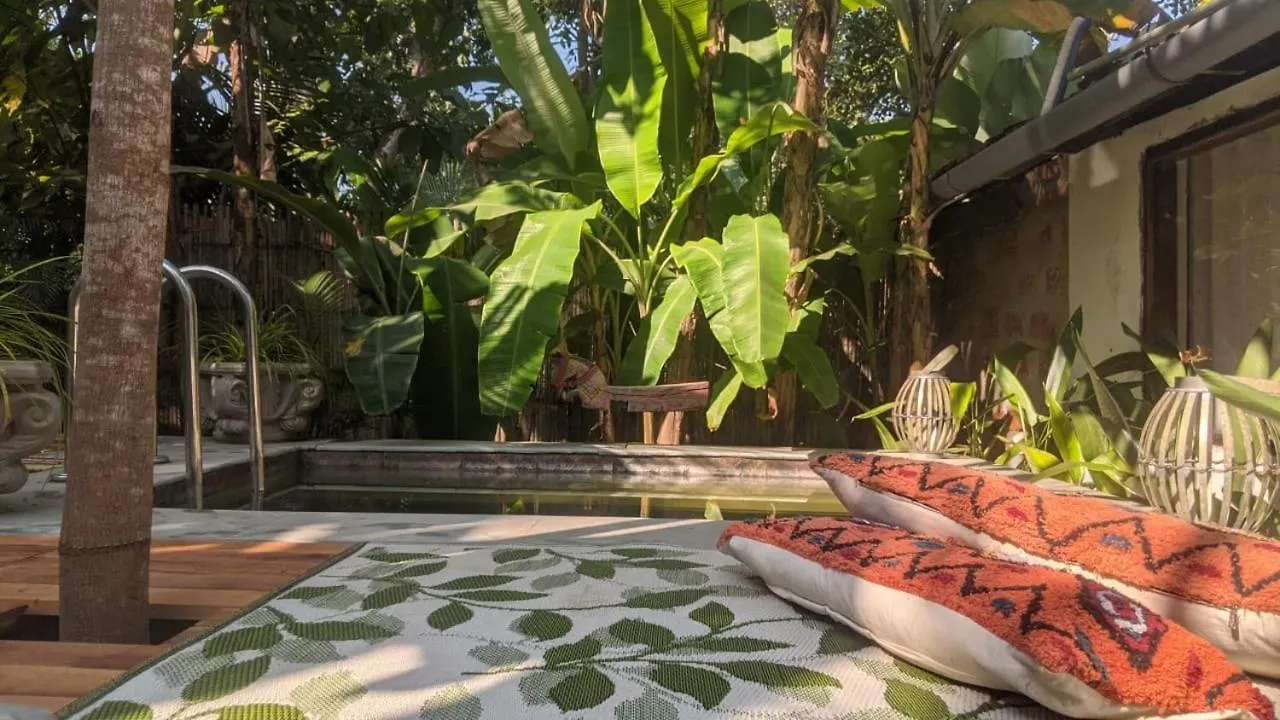 Sunsets And Palm Trees Bed & Breakfast Alappuzha