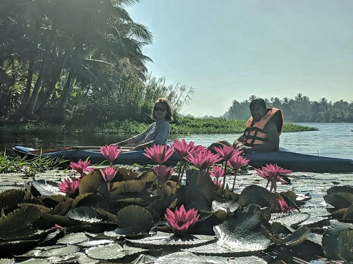 Sunsets And Palm Trees Bed & Breakfast Alappuzha 0*,