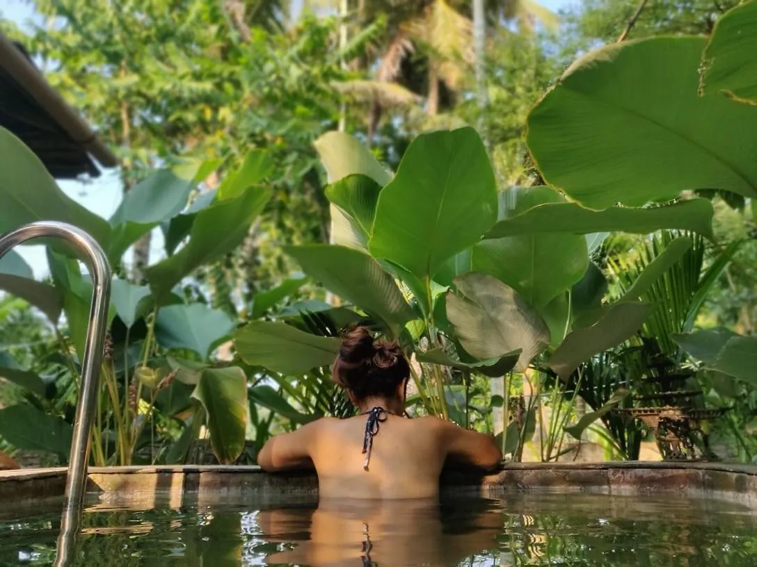 Sunsets And Palm Trees Bed & Breakfast Alappuzha India