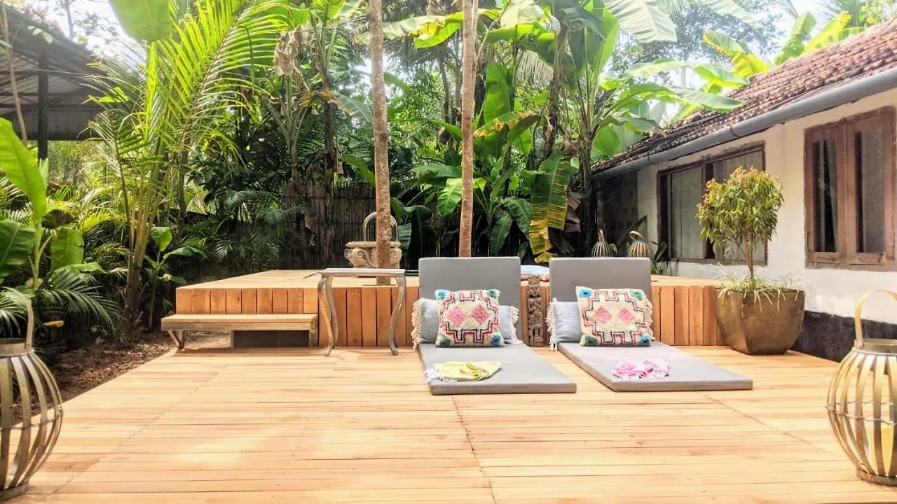 Sunsets And Palm Trees Bed & Breakfast Alappuzha