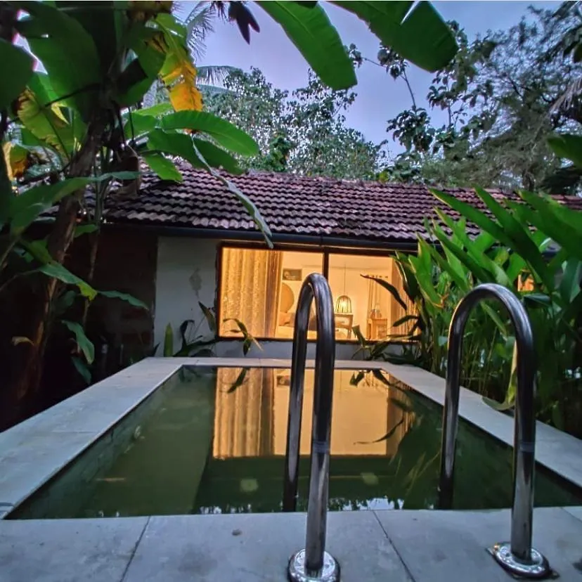 Sunsets And Palm Trees Bed & Breakfast Alappuzha 0*,