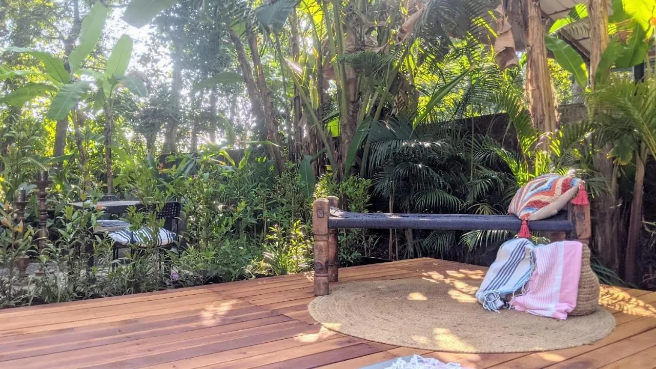 Sunsets And Palm Trees Bed & Breakfast Alappuzha 0*,  India