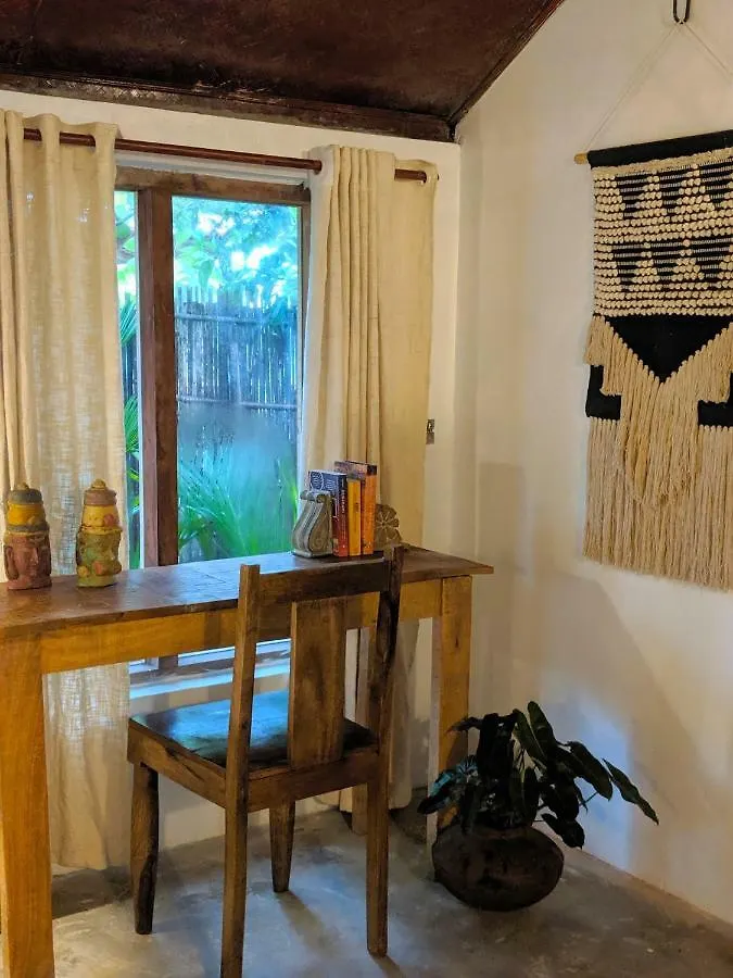 Sunsets And Palm Trees Bed & Breakfast Alappuzha