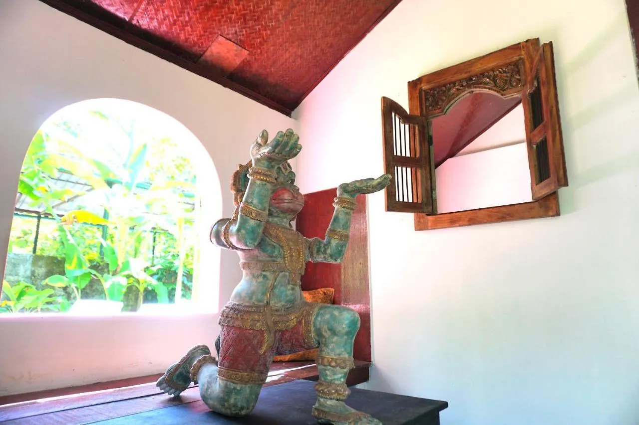 Sunsets And Palm Trees Bed & Breakfast Alappuzha