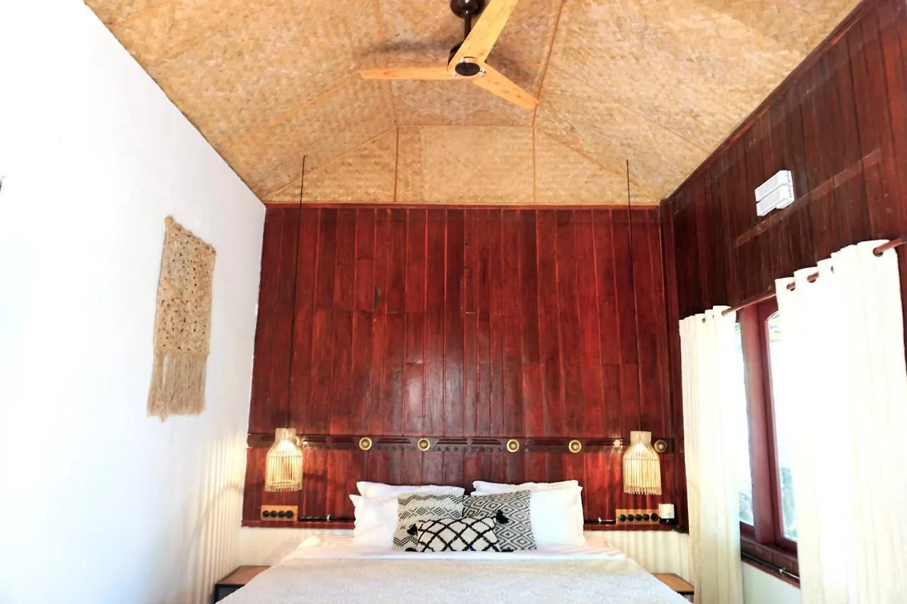 Sunsets And Palm Trees Bed & Breakfast Alappuzha India